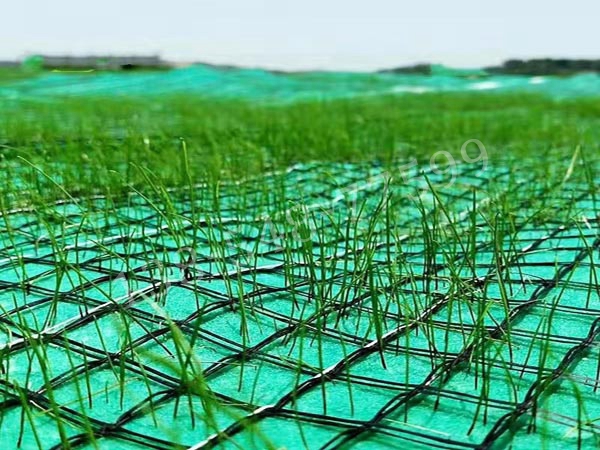 抗沖生態(tài)保護(hù)毯